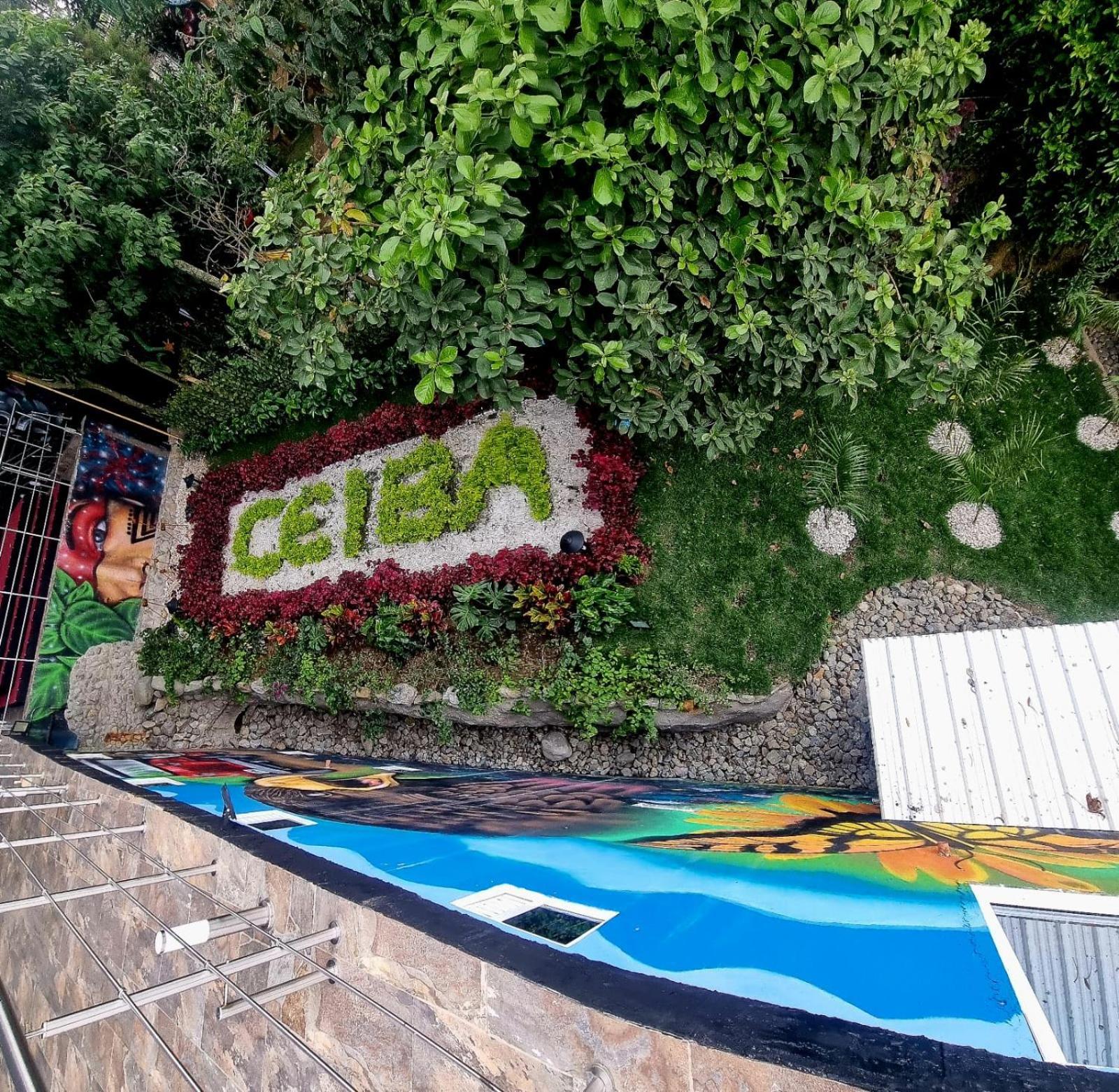 Ayenda Ceiba Rooms Pereira Exterior foto